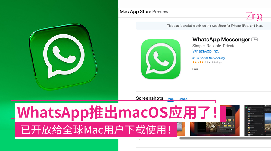 WhatsApp 图片