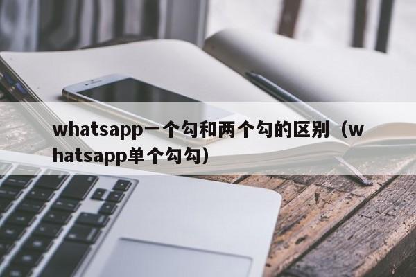 WhatsApp 显示单钩是什么意思？