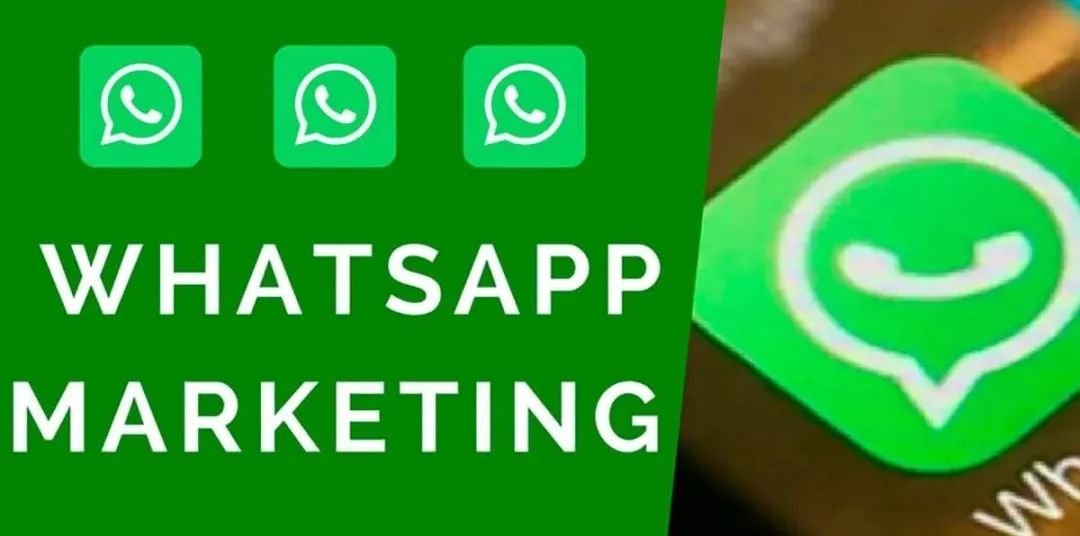 WhatsApp Business 和普通 WhatsApp 有什么区别? 步骤截图
