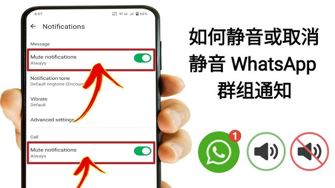 WhatsApp网页版 通知如何设置? 页面展示图