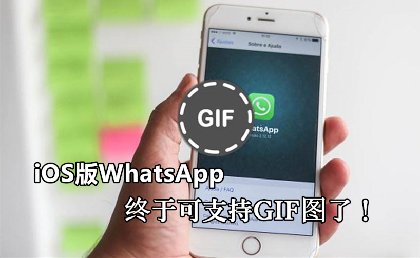 WhatsApp网页版 能发送 GIF 动画吗? 使用教程图