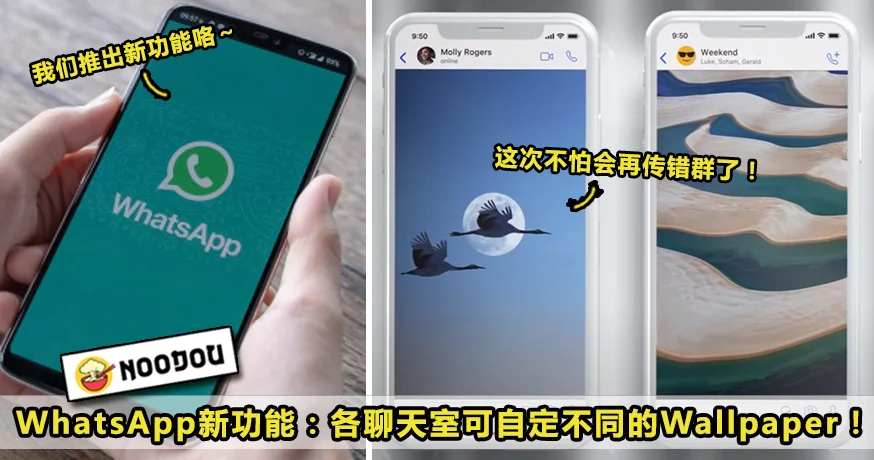 在WhatsApp网页版 中可以修改聊天背景吗？