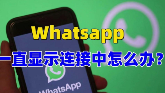 为什么 WhatsApp网页版 无法连接网络? 使用教程图