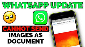 WhatsApp无法发送图片和视频揭秘，原因与解决方案 功能展示图