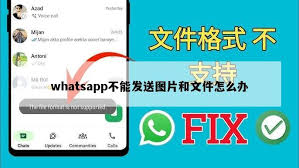 WhatsApp 网页版 图片 / 视频无法发送怎么办？ 功能展示图