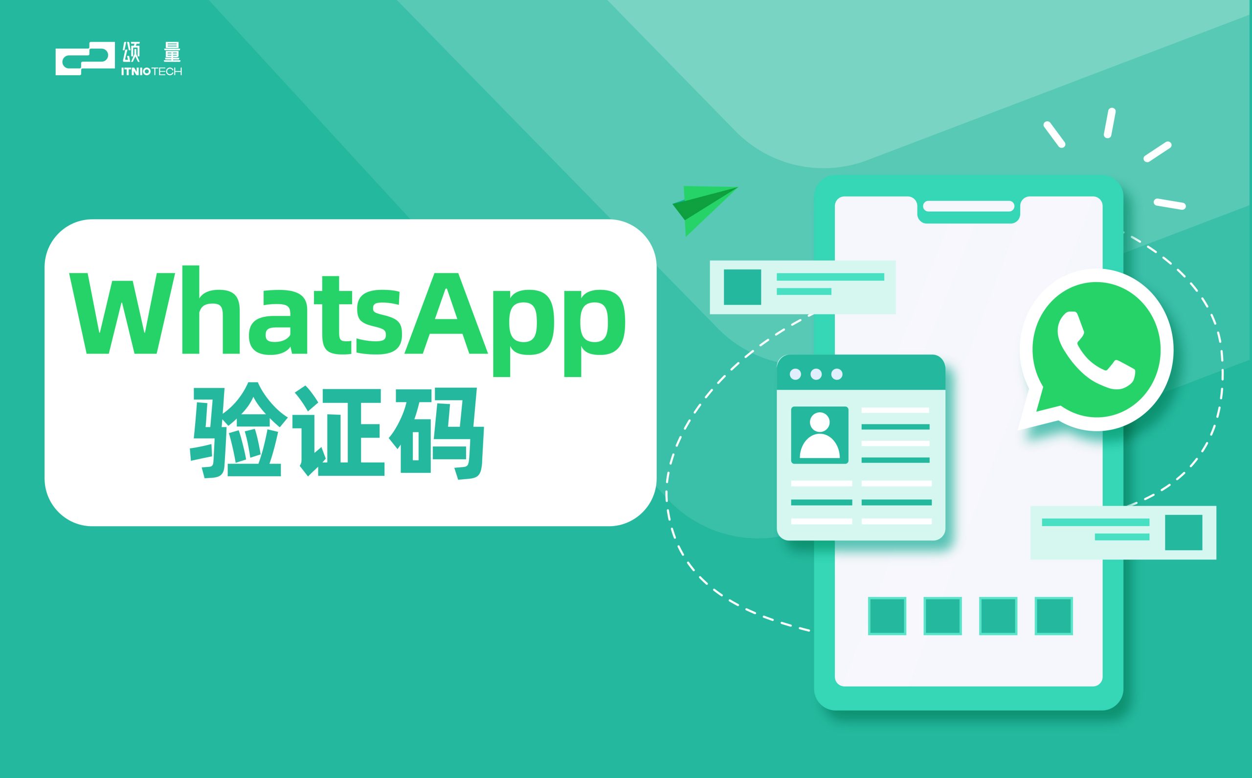 WhatsApp账号 如何实名认证? 步骤截图