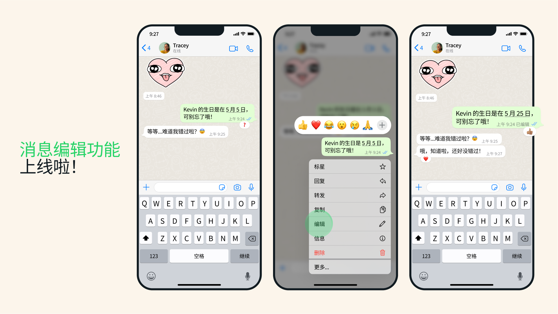 WhatsApp 的中文名称是什么？ 说明图片