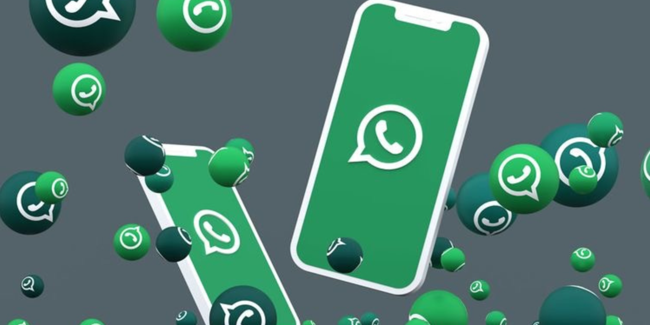 如何登录 WhatsApp Business 网页版？ 功能展示图