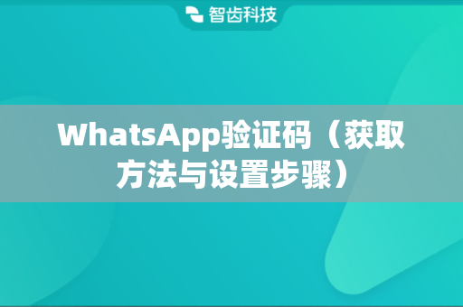 手机收不到 WhatsApp 验证码怎么办? 登录界面截图