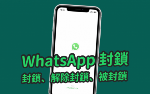 为什么WhatsApp网页版看不到照片? 功能展示图