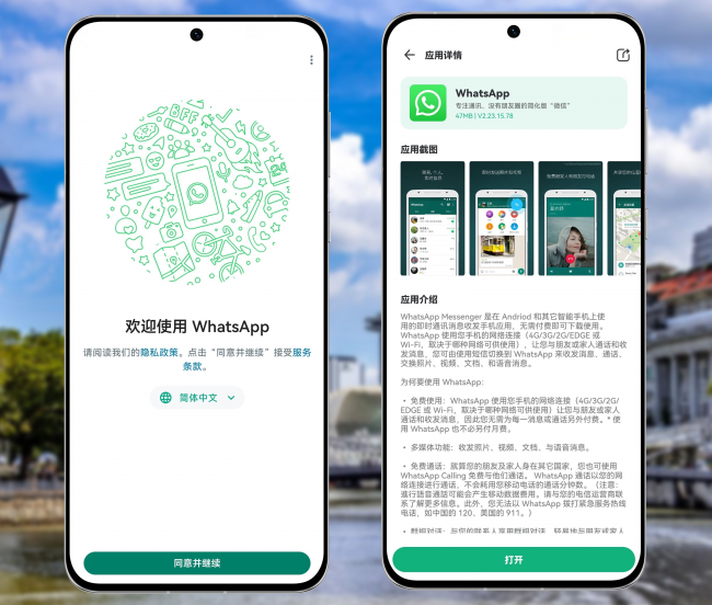 WhatsApp Business 如何关联电脑？ 页面展示图