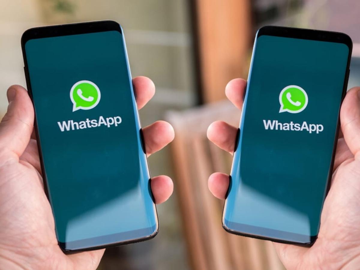 WhatsApp网页登录能加好友吗？ 示意图