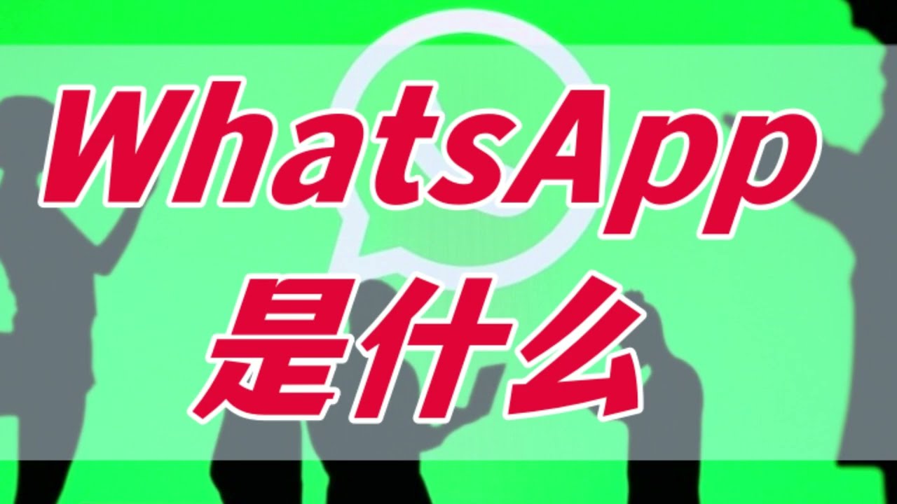 WhatsApp 是什麼軟體? 使用教程图