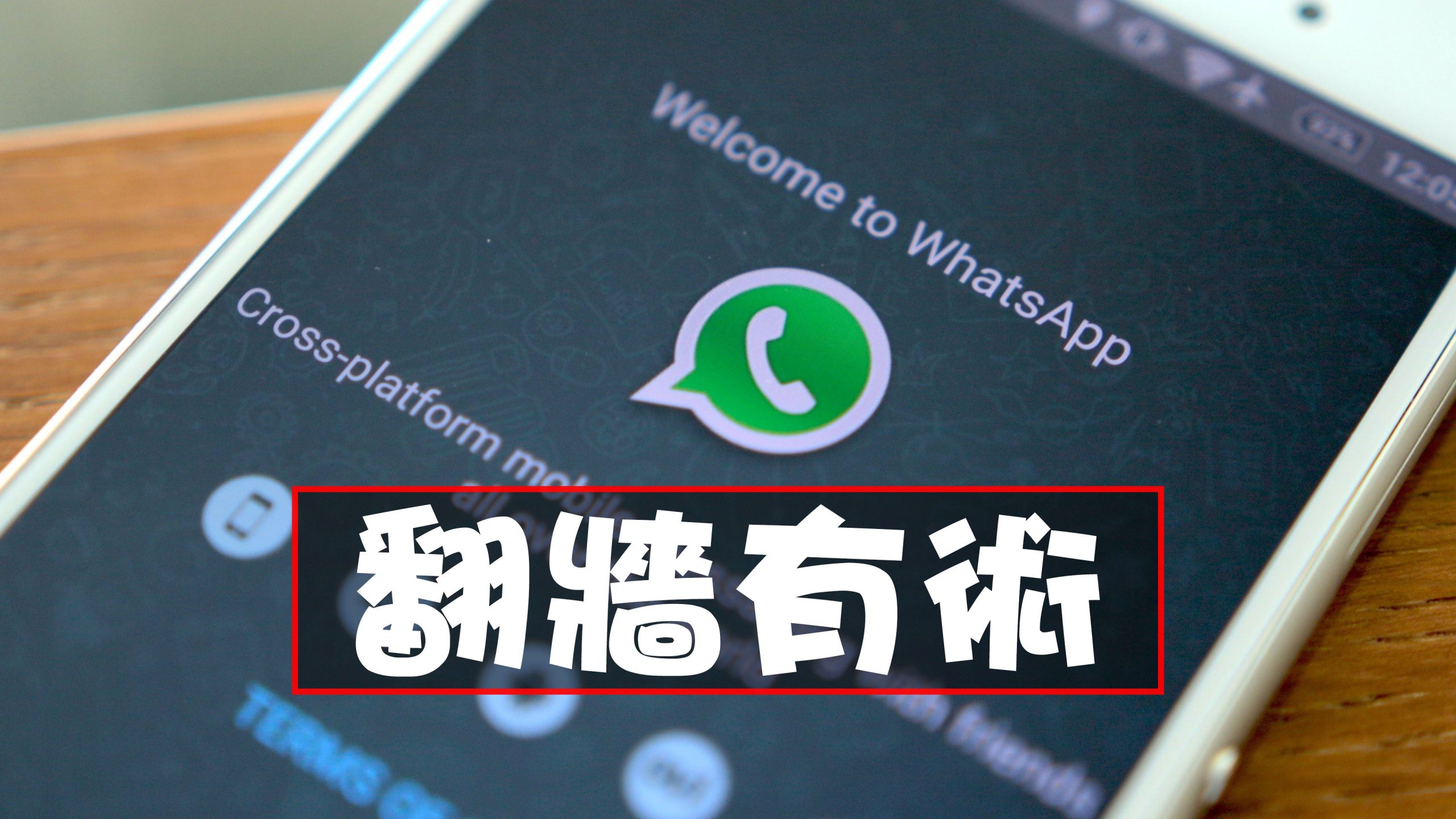 WhatsApp非網頁版下載的檔案在哪裡？ 功能展示图