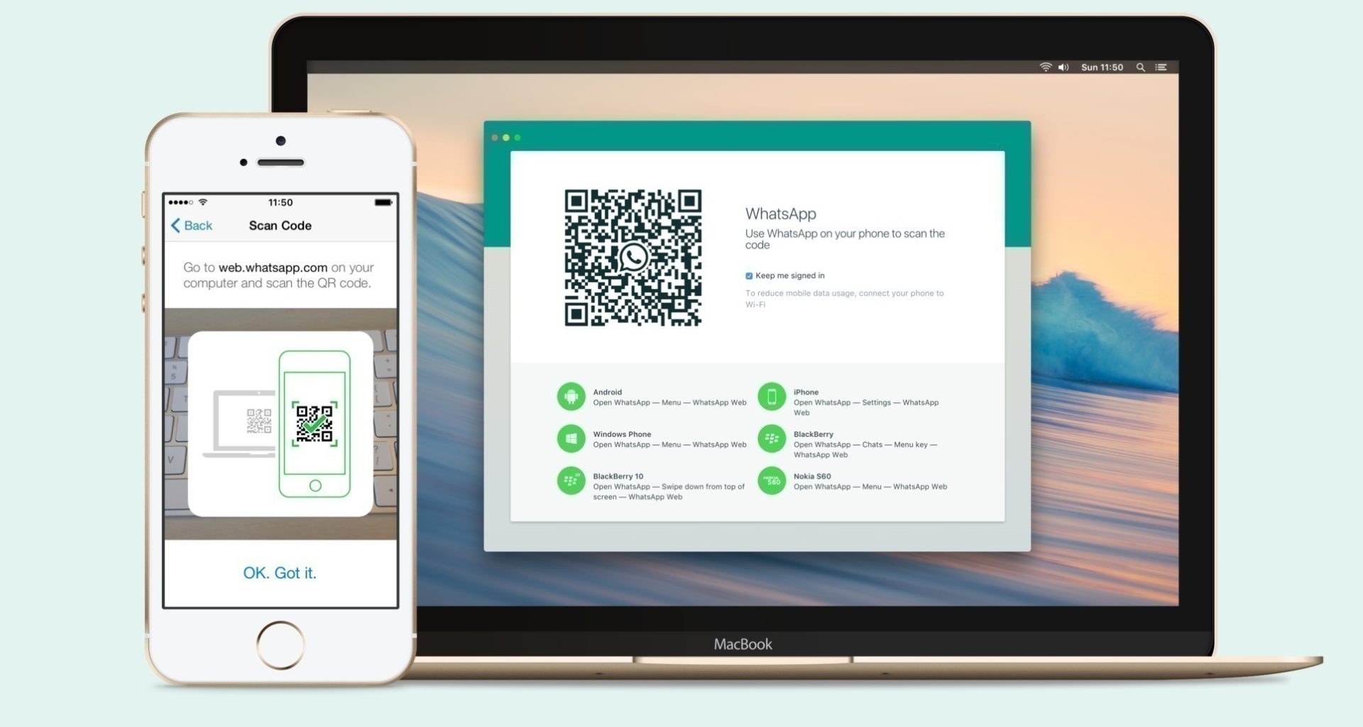 怎么在WhatsApp网页版中查看通话记录? 登录界面截图
