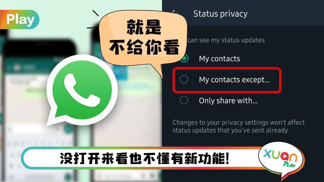 WhatsApp 为什么看不到对方头像? 页面展示图