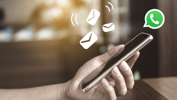 WhatsApp 网页版为什么不能用了? 页面展示图