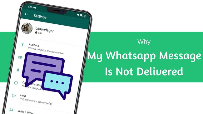 为什么 WhatsApp网页版 收不到消息？