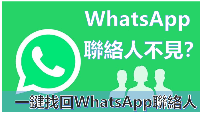 如何查看WhatsApp web联系人资料? 使用教程图