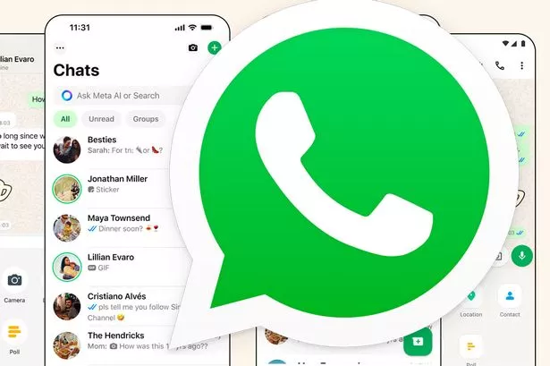 如何查看WhatsApp web联系人资料? 使用教程图