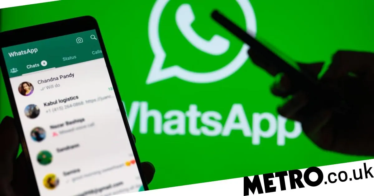 WhatsApp web支持语音通话吗？ 页面展示图