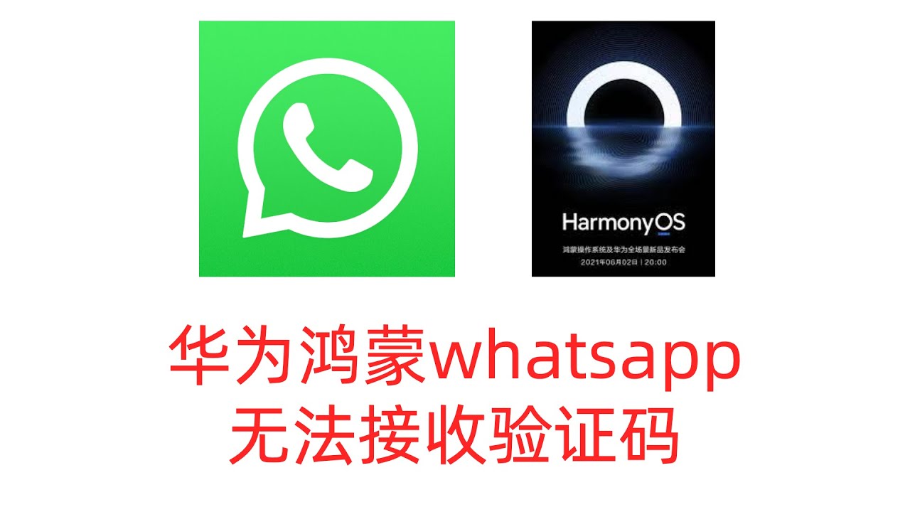 華為手機要如何註冊 WhatsApp？ 登录界面截图