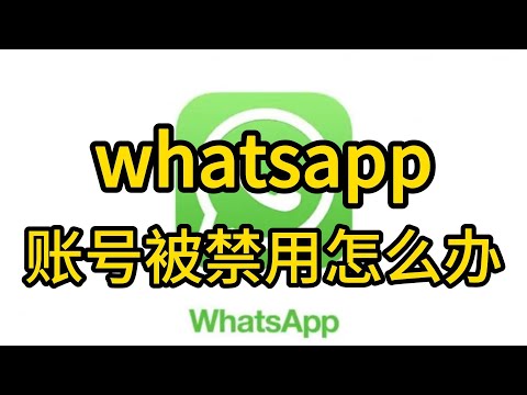 WhatsApp網頁版 為什麼會暫時無法使用? 操作界面图