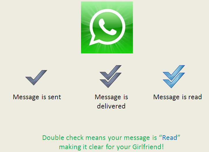 WhatsApp 显示单钩是什么意思？ 操作界面图