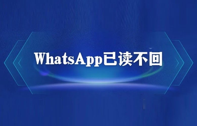 WhatsApp 如何不让别人知道你已读? 说明图片