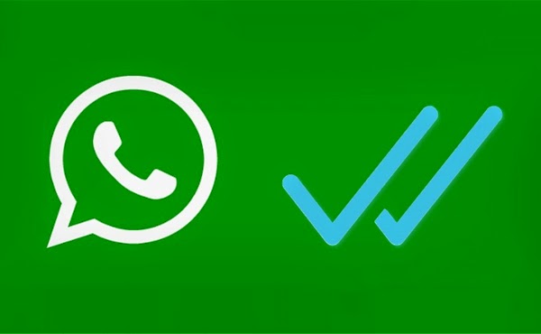 WhatsApp 如何不让别人知道你已读? 步骤截图