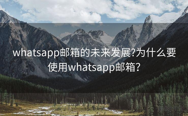 WhatsApp 可以邮箱登录吗? 操作界面图
