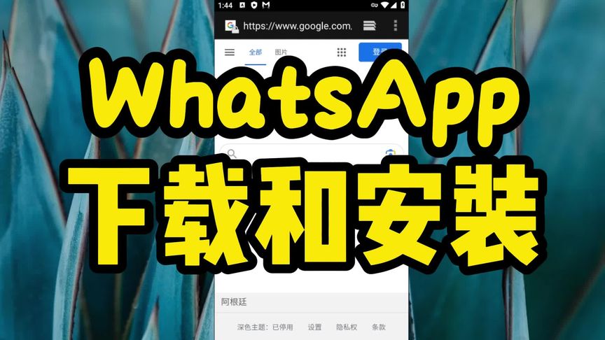 如何获取 WhatsApp 验证码？ 操作界面图