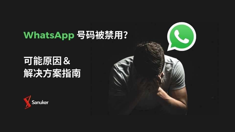 WhatsApp 网页版为什么不能用了? 操作界面图